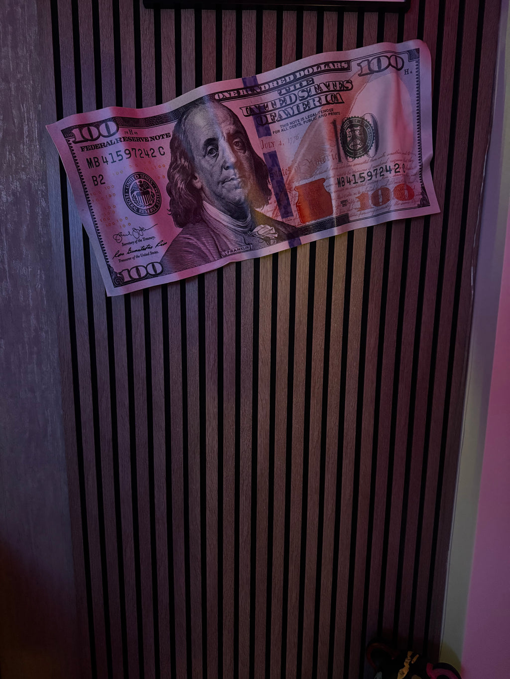 REALISTIC DOLLAR