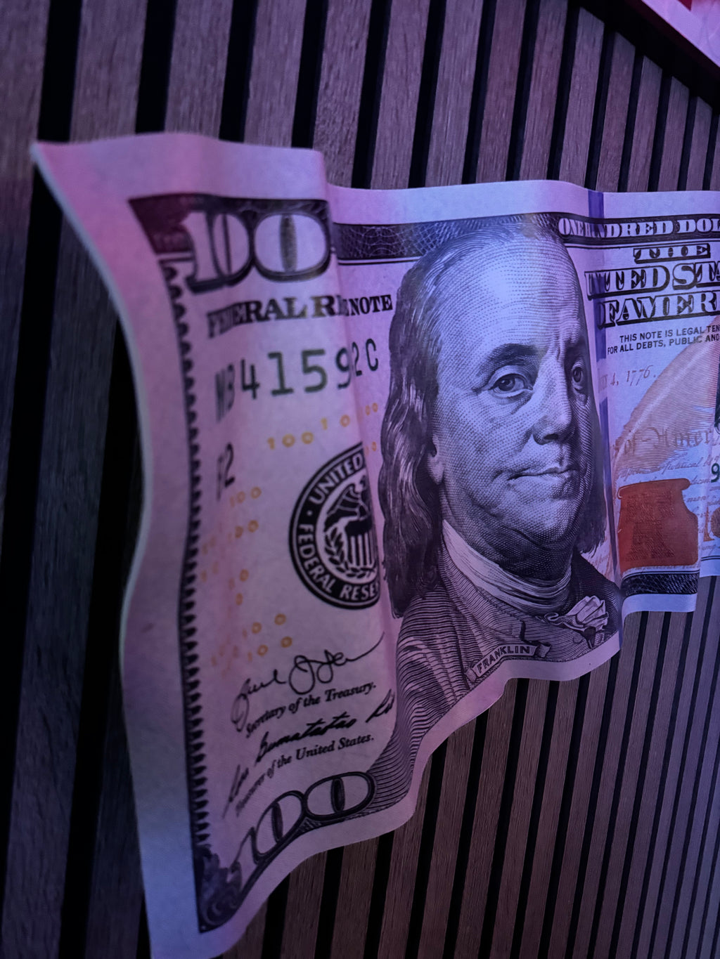REALISTIC DOLLAR