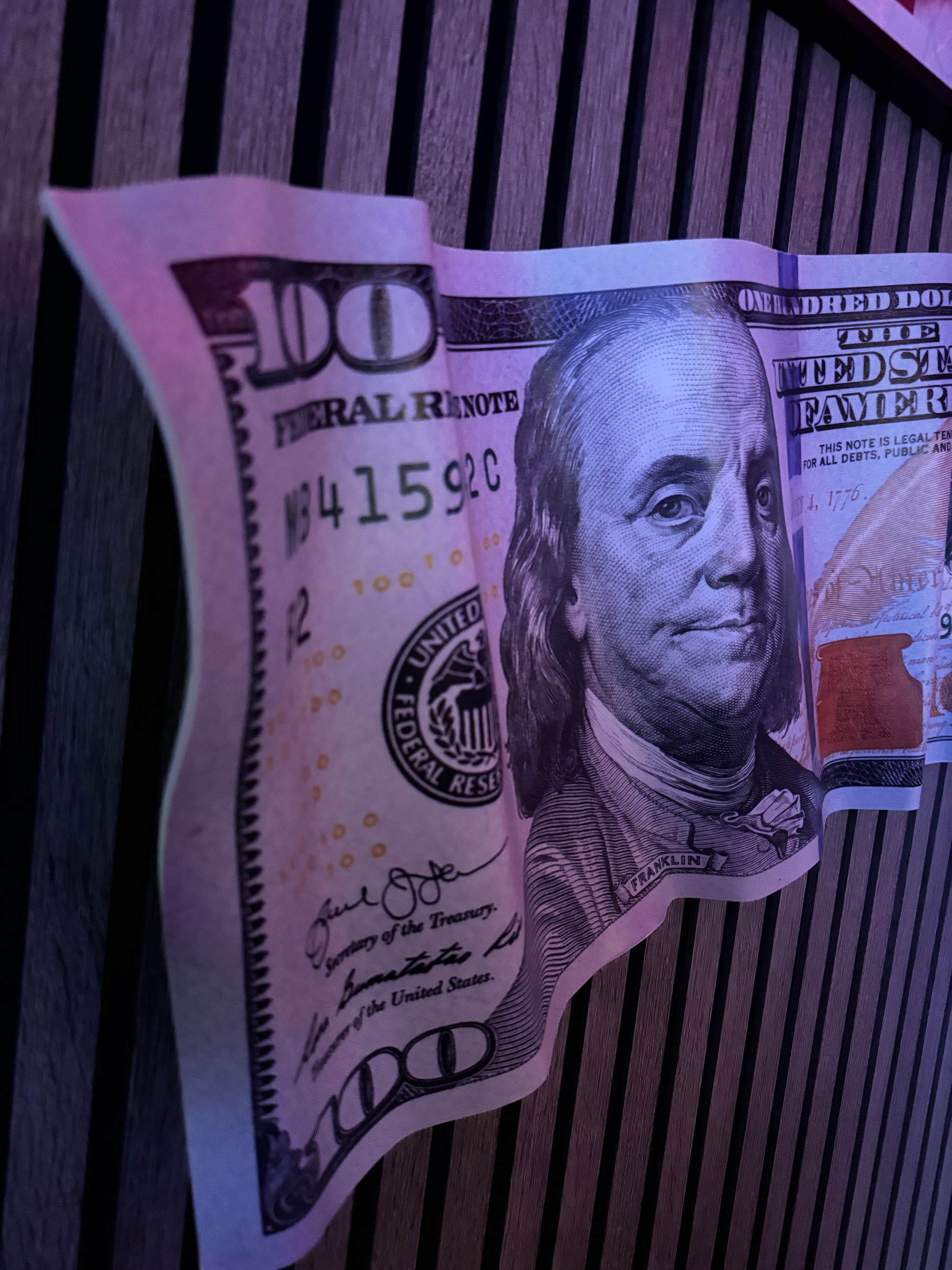 REALISTIC DOLLAR